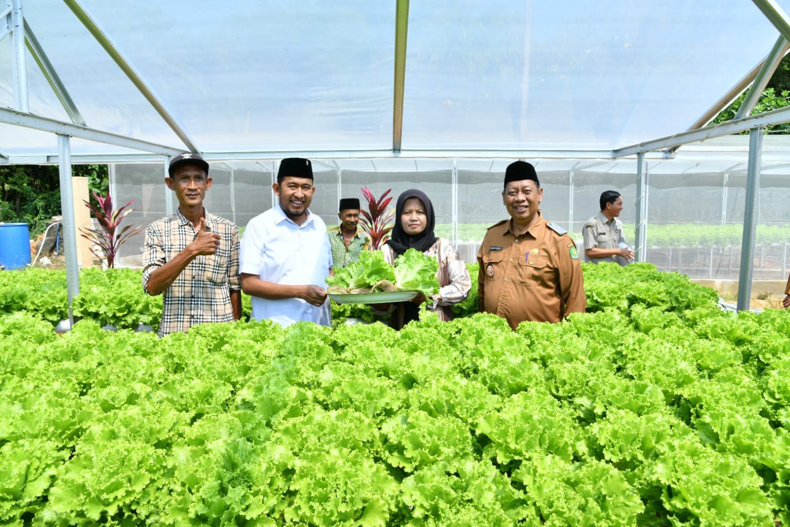 Kepala DKPP Sumenep Dampingi Bupati Tinjau Kebun Hidroponik, Dorong Pertanian Modern Berbasis Inovasi