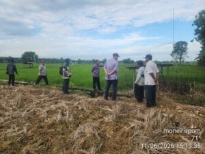 Tingkatkan Produktivitas Lahan Kering, DKPP Sumenep Gulirkan Program GEDE TANINYA